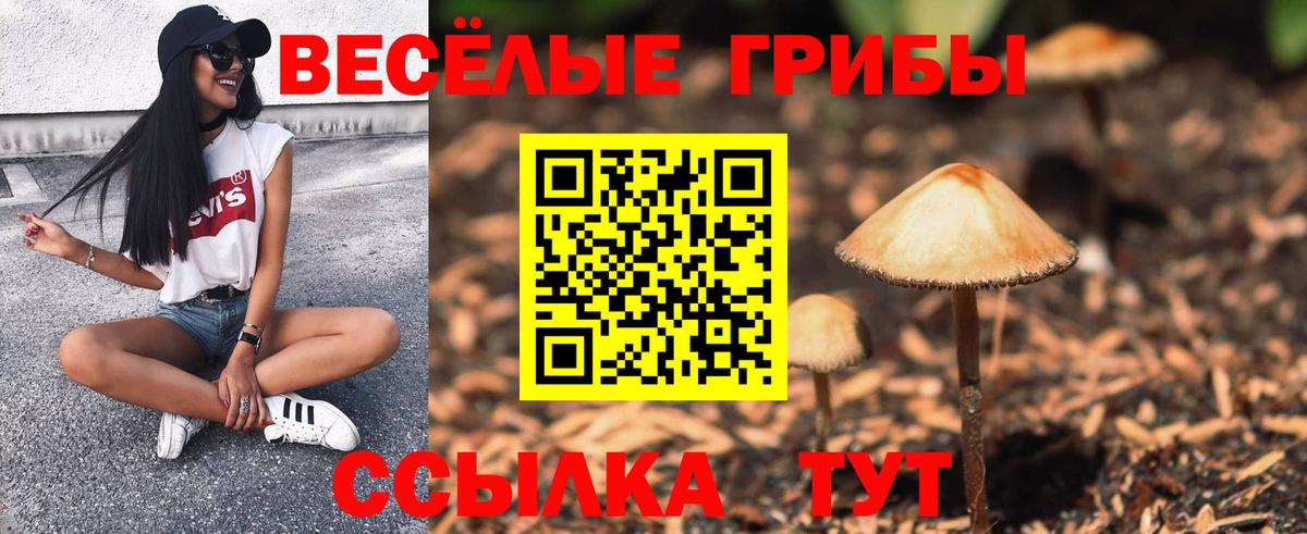 NBOMe Красноармейск