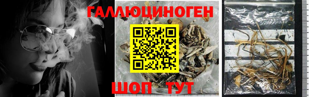 Красноармейск  Галлюциногенные грибы мицелий  Псилоцибиновые грибы Magic Shrooms  Вход с VPN 